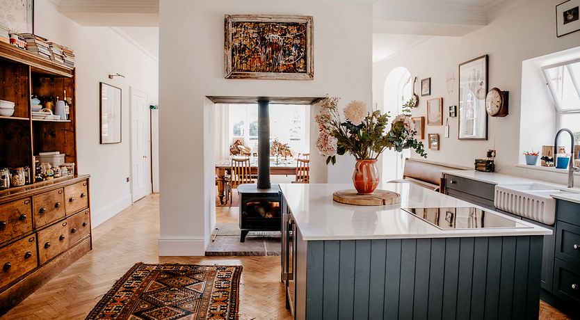 Photo of Vintage Hibiscus