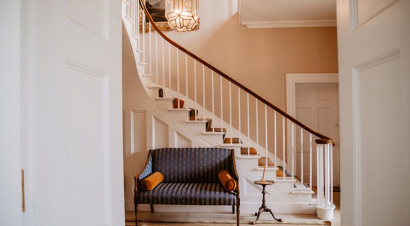 Photo of Vintage Hibiscus