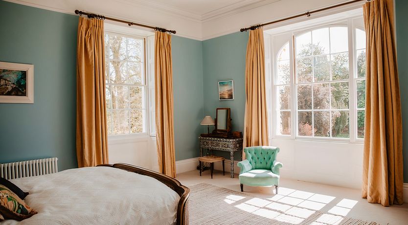 Photo of Vintage Hibiscus