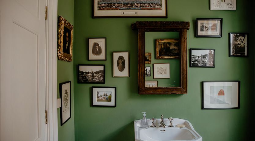 Photo of Vintage Hibiscus