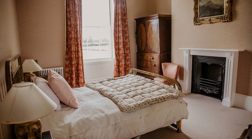 Photo of Vintage Hibiscus