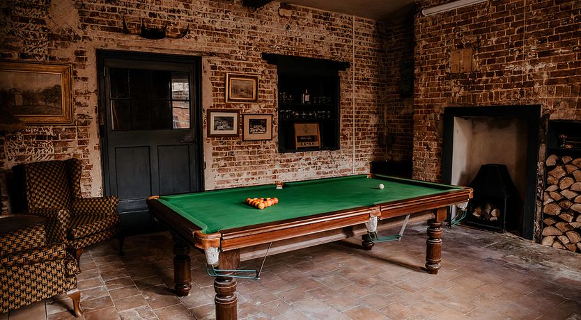 Photo of Vintage Hibiscus