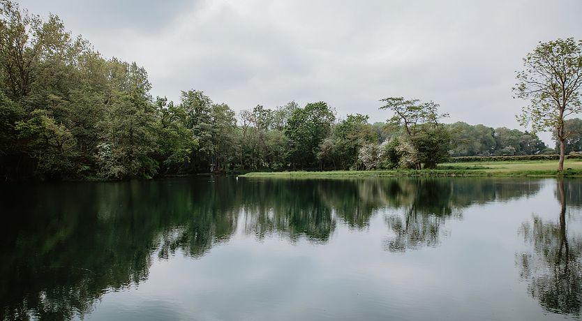 Photo of Vintage Hibiscus