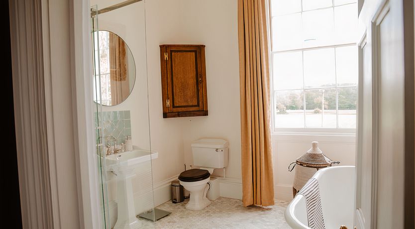 Photo of Vintage Hibiscus