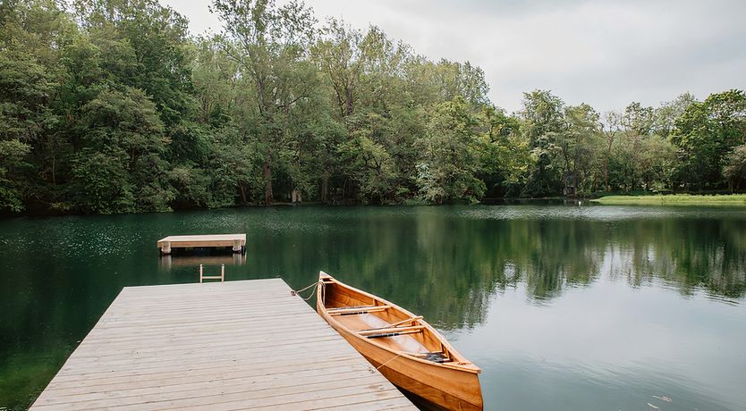 Photo of Vintage Hibiscus