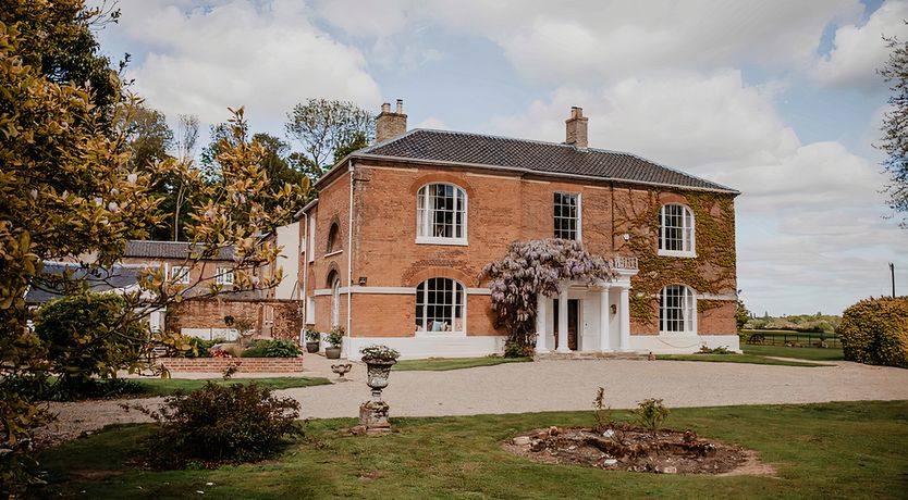 Photo of Vintage Hibiscus