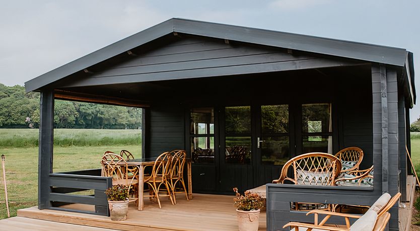 Photo of Vintage Hibiscus