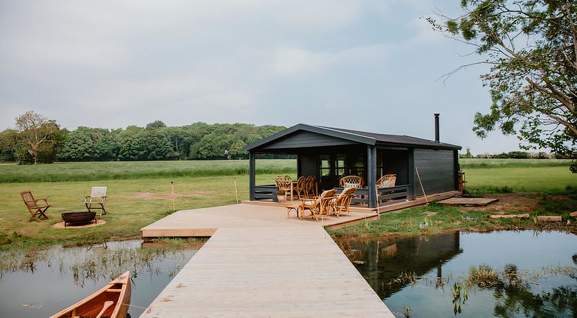 Photo of Vintage Hibiscus