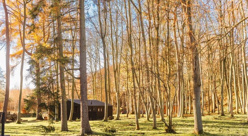 Photo of Roscoe by the River