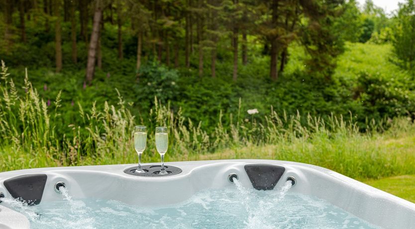 Photo of Roscoe by the River