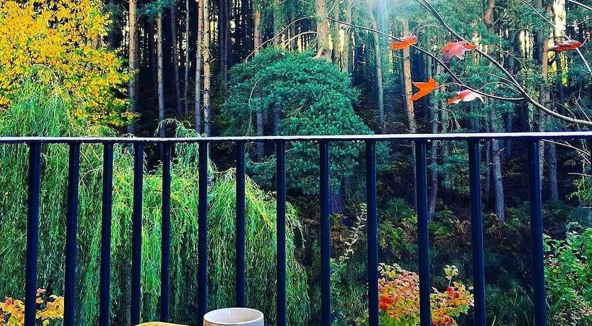 Photo of Roscoe by the River