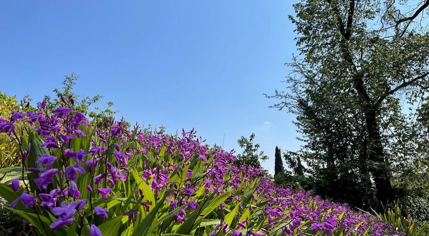 Photo of Roman Garden