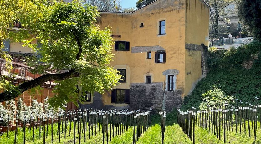 Photo of Roman Garden