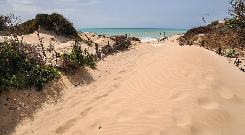 Photo of Early Riser