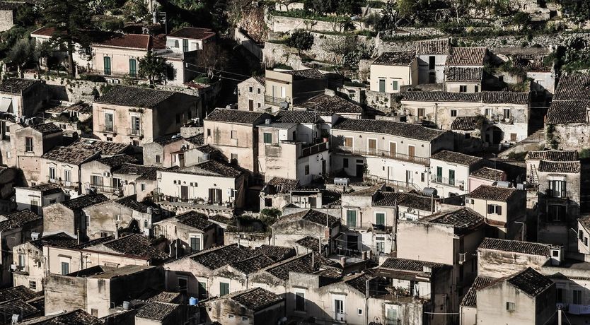 Photo of Early Riser