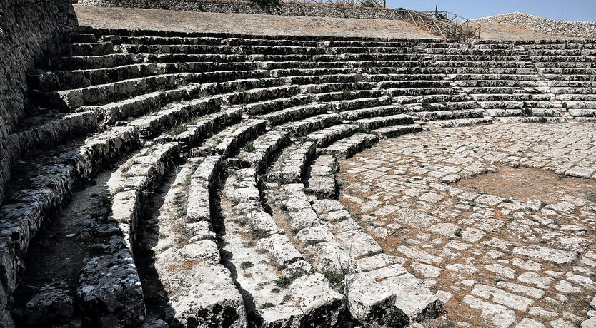 Photo of Early Riser