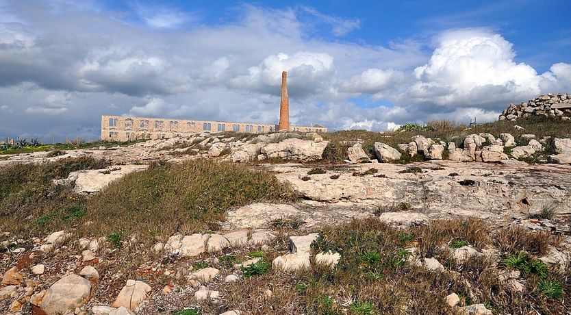 Photo of Early Riser