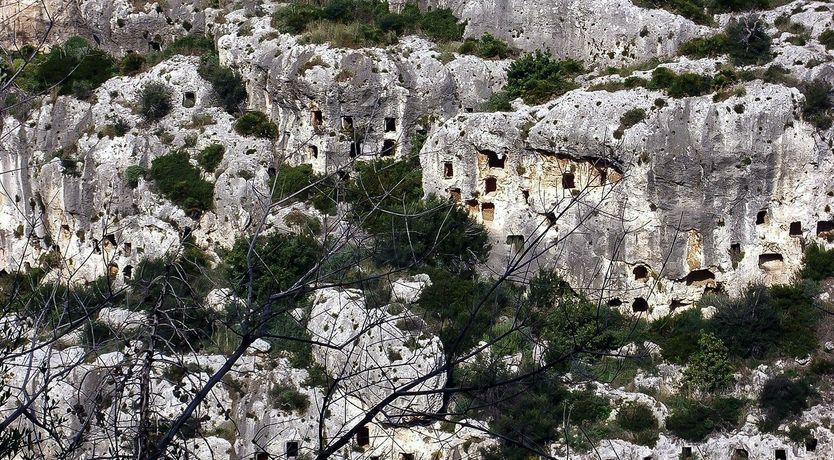 Photo of Early Riser