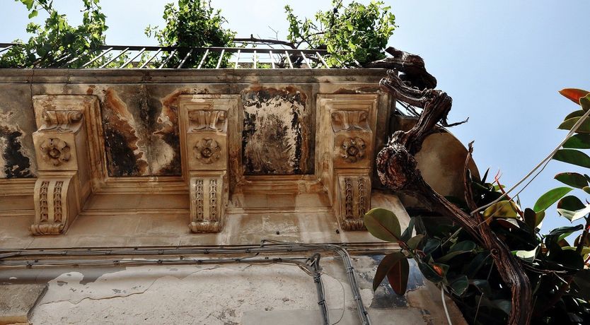 Photo of Early Riser