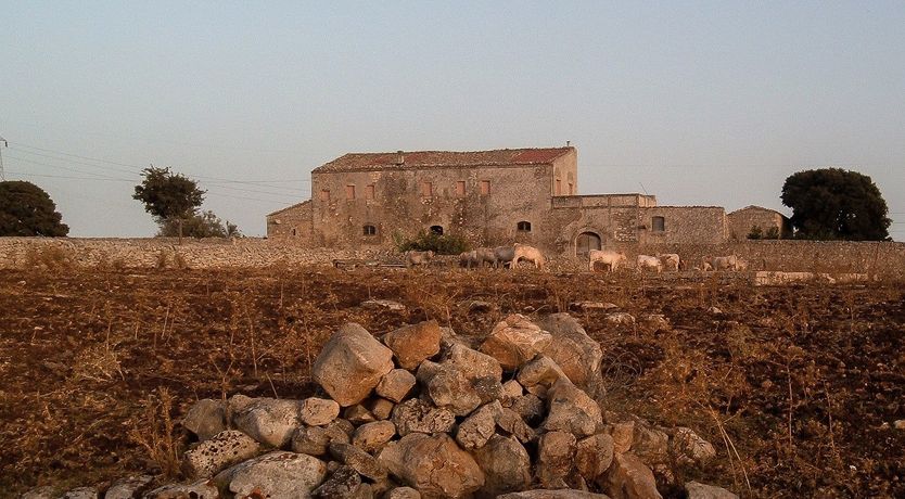 Photo of Early Riser