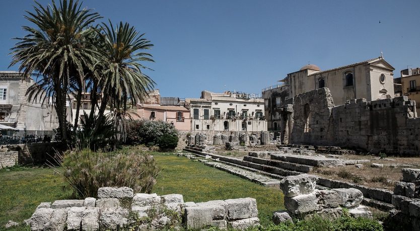 Photo of Market Symphony