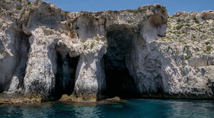 Photo of Market Symphony