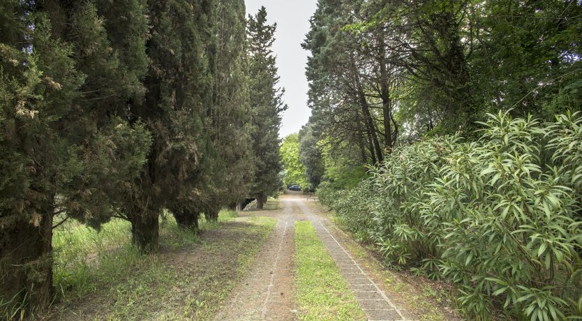 Photo of Stealing Beauty