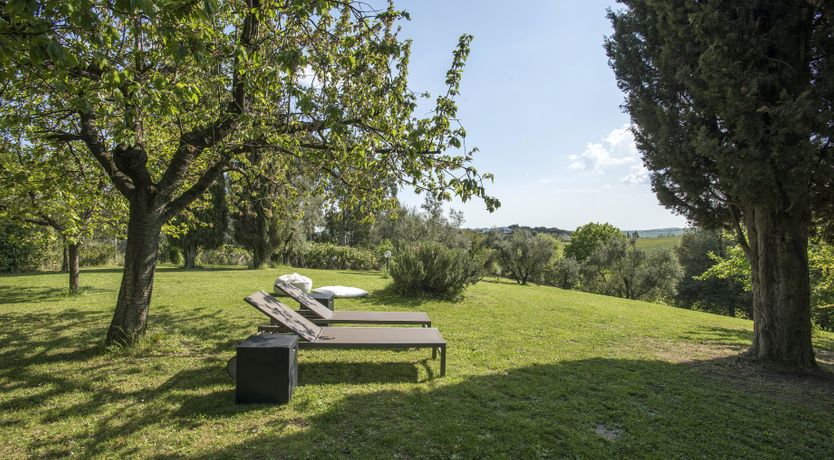 Photo of Stealing Beauty