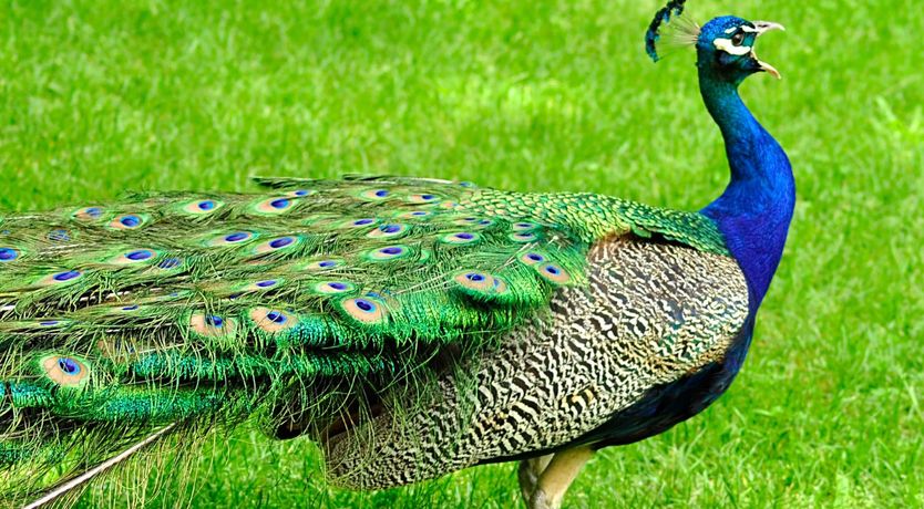 Photo of Old Farmhouse