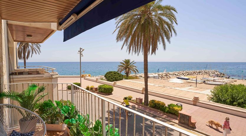 Photo of The Moon Bay