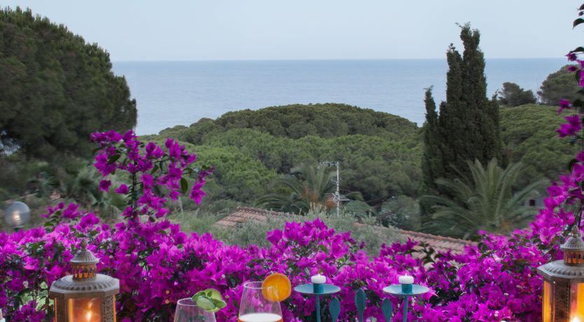 Photo of Pearl Romance