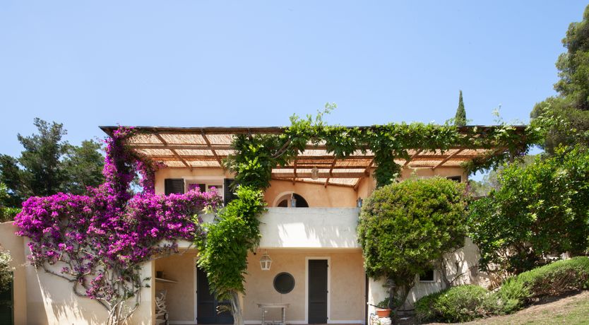 Photo of Pearl Romance