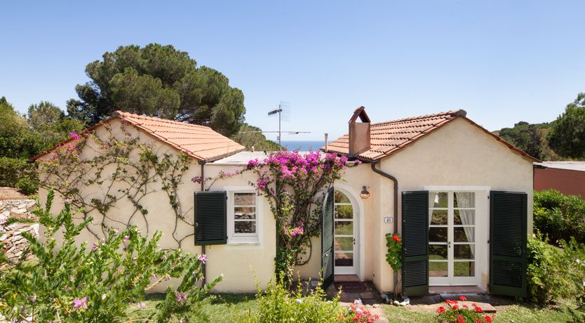 Photo of Pearl Romance