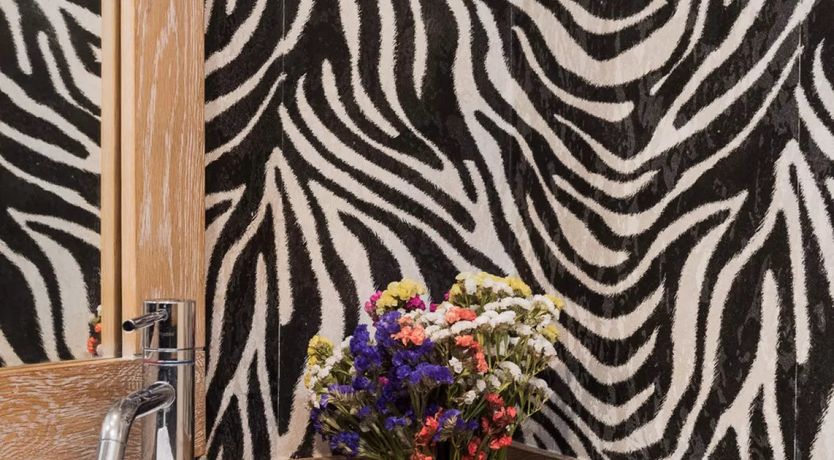 Photo of Hello Tropicana