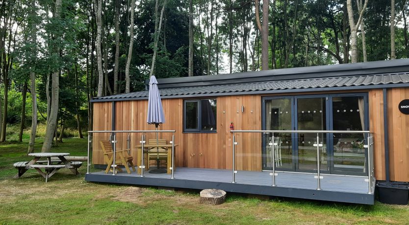 Photo of Snowy by the River