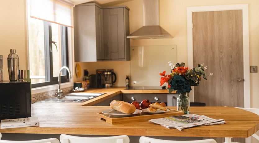 Photo of Snowy by the River