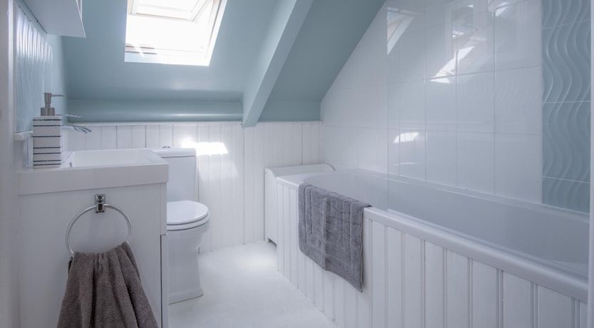 Photo of Shore is Something