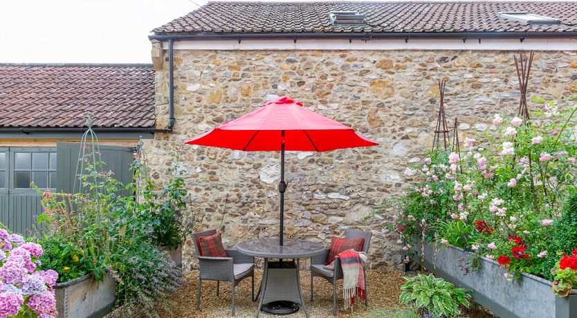 Photo of Apple of our Eye