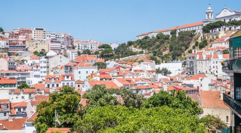 Photo of Mosaic of Red