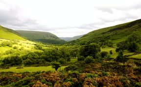 Photo of Serenity in the Black Mountains