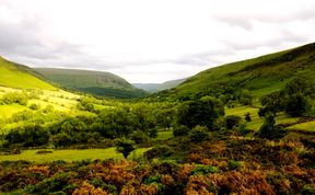 Photo of Serenity in the Black Mountains