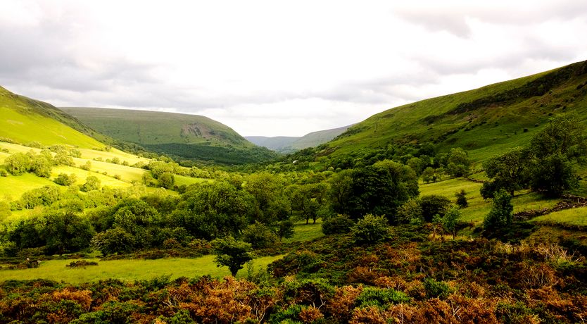 Photo of Serenity in the Black Mountains