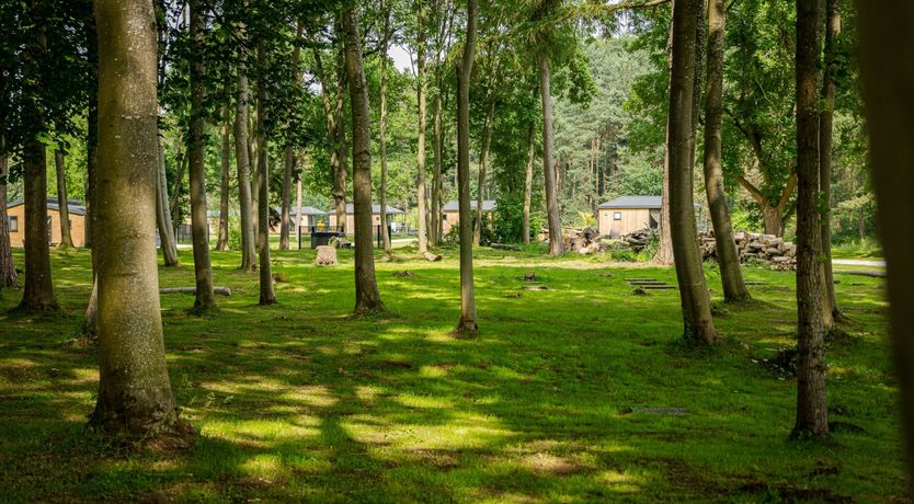 Photo of By the River VII