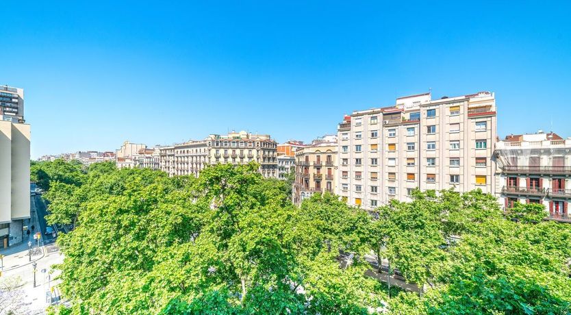 Photo of How Transparent