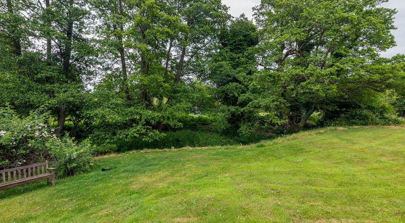 Photo of Bountiful Harvest