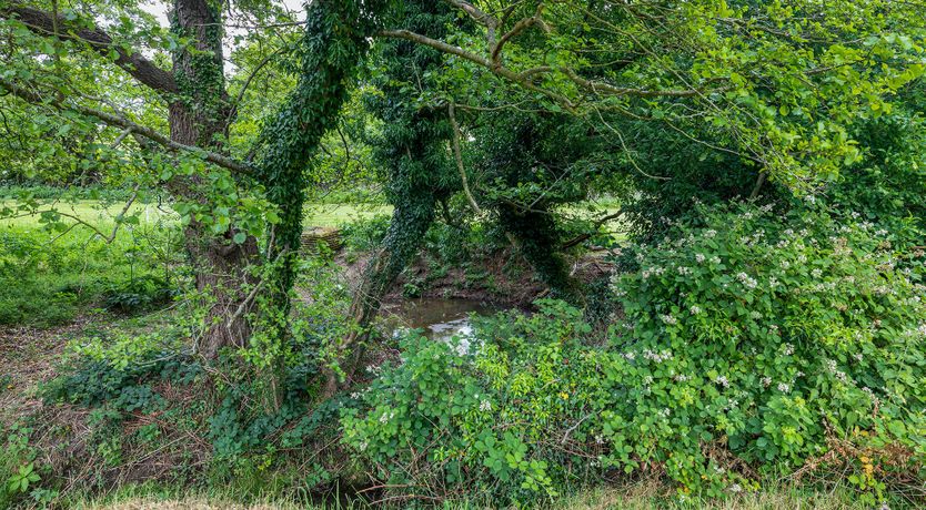 Photo of Bountiful Harvest