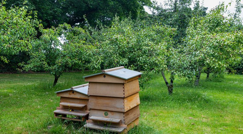Photo of Bountiful Harvest