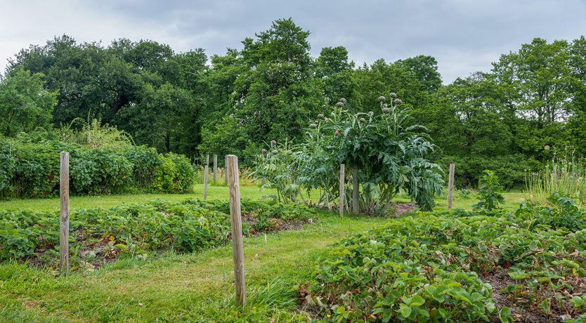 Photo of Bountiful Harvest