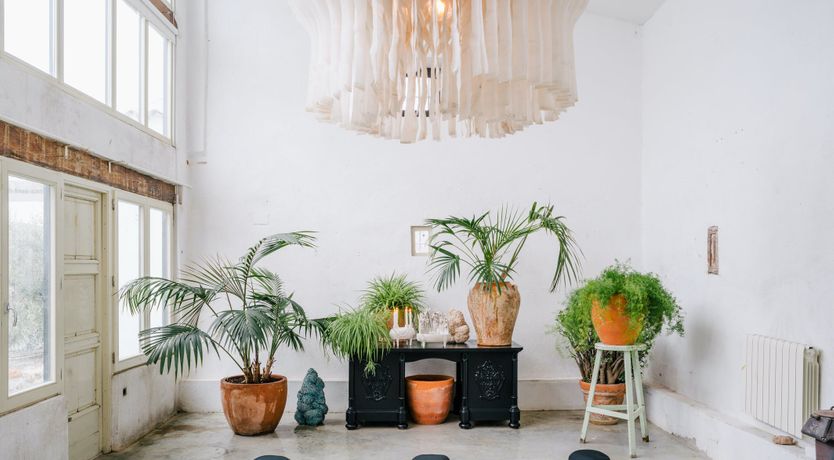 Photo of Food For The Soul