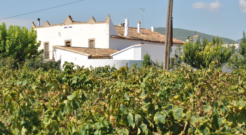 Photo of Food For The Soul